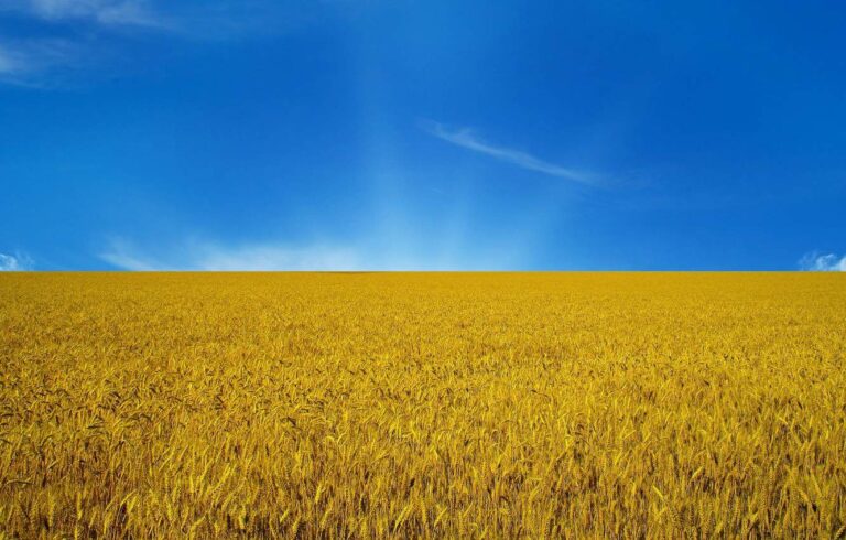 Hjælp til Ukraine 3